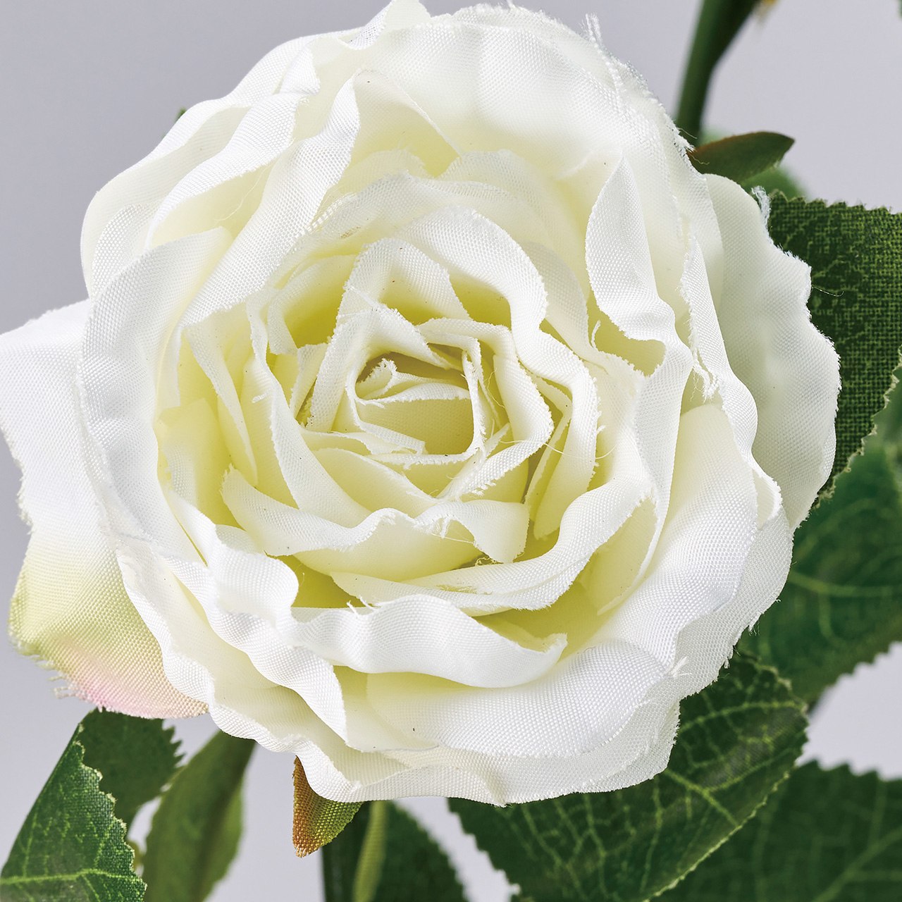 エレガンローズ