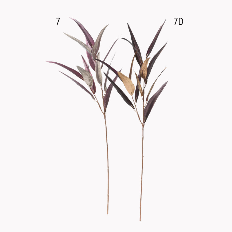 メタリック細葉ユーカリ