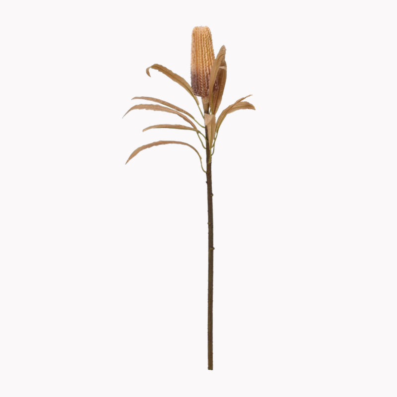 バンクシア ドライフラワー アーティフィシャルフラワー 造花 フラワーアレンジメント ナチュラルブーケ アスカ asca