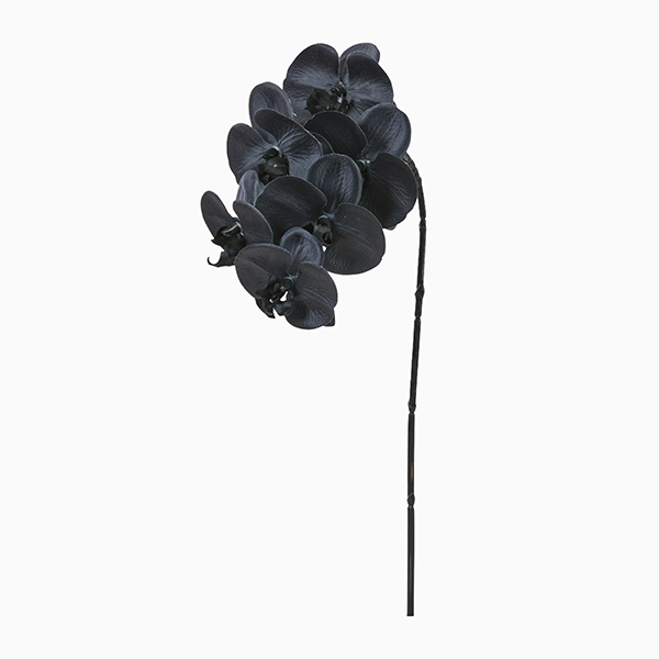 黒胡蝶蘭(A-35148)|アスカ造花・アーティフィシャルフラワー – anji 黒胡蝶蘭(A-35148)|アスカ造花・アーティフィシャルフラワー – anji