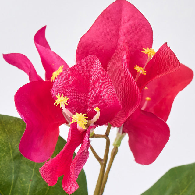 ピンクのブーゲンビリアの造花。