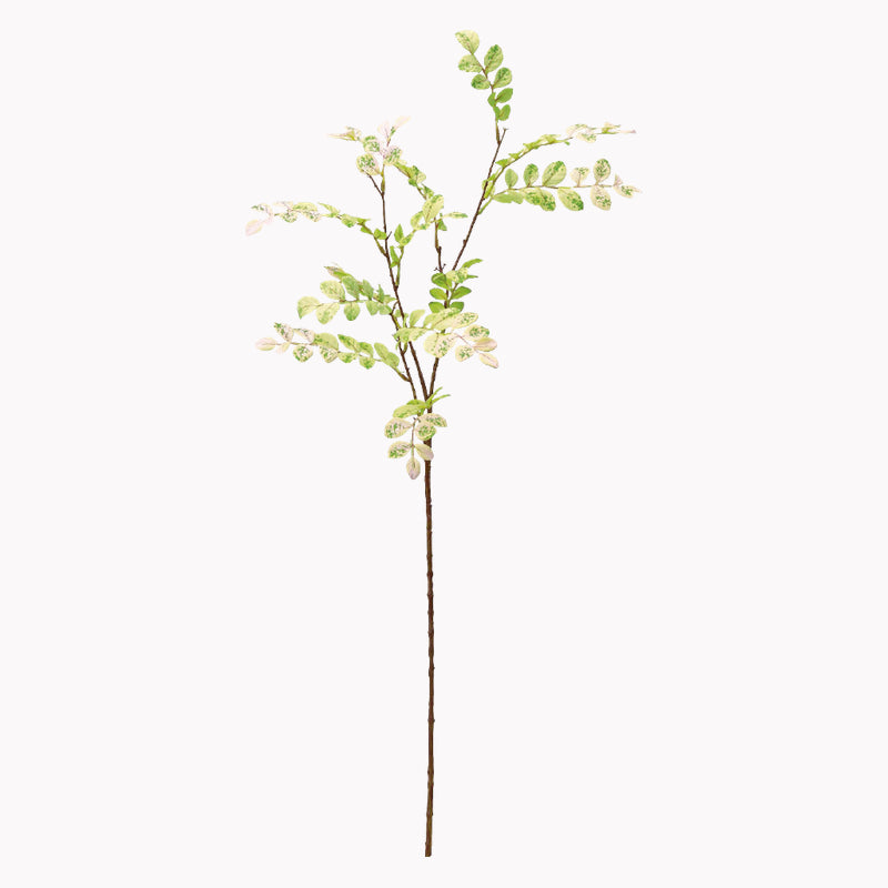 ヨウシュコバンノキのアスカの造花。