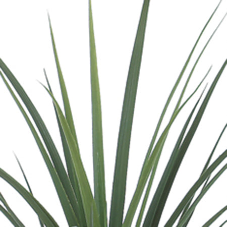 アスカの造花。