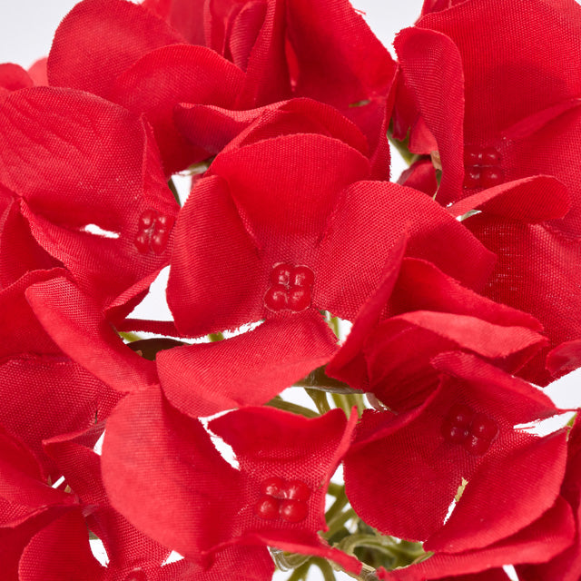 トロワハイドランジアバンドル