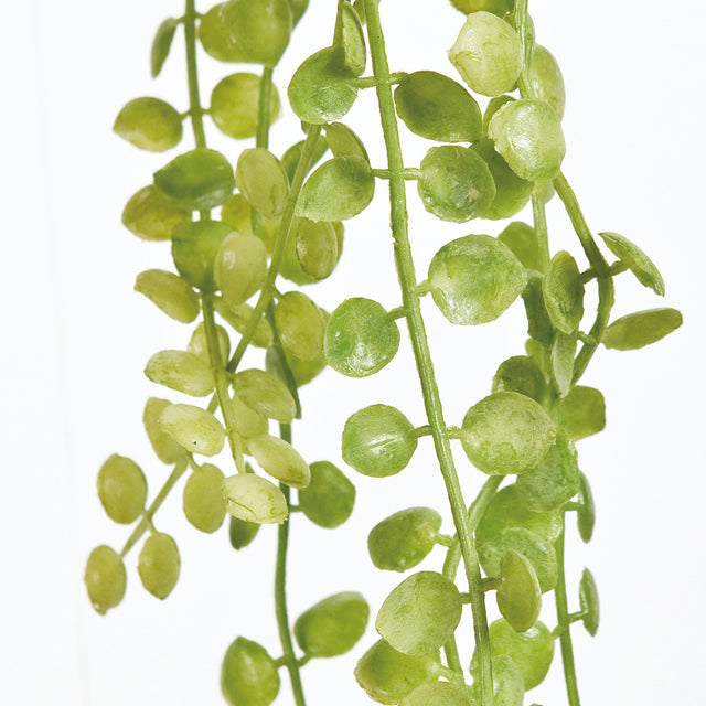 グリーンビーンの東京堂の造花。