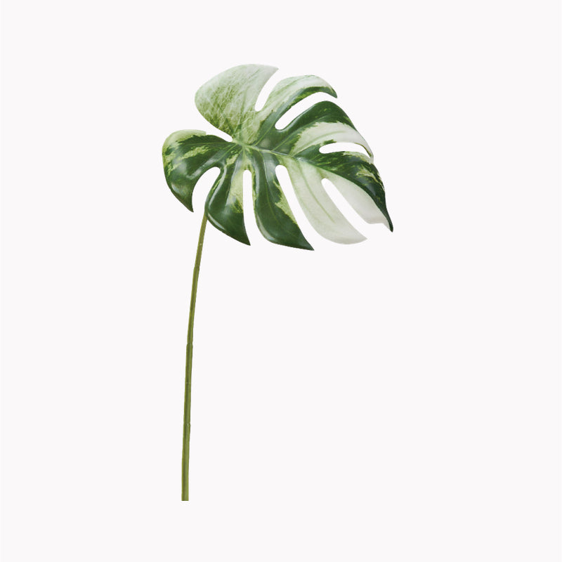 斑入りのモンステラ、アスカの造花。