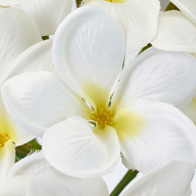 白いプルメリア、東京堂の造花。