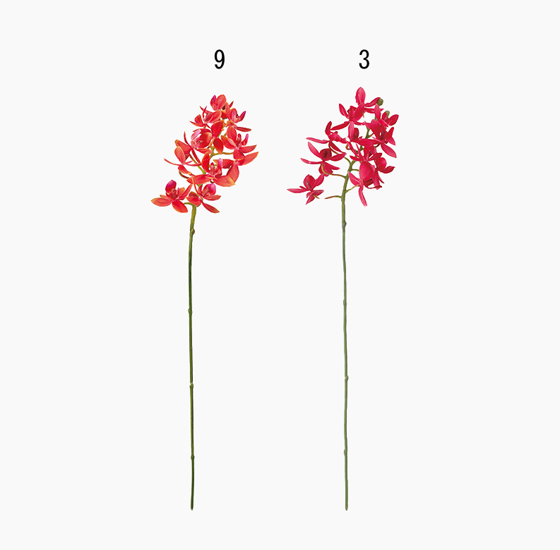 ルシファレノ、造花