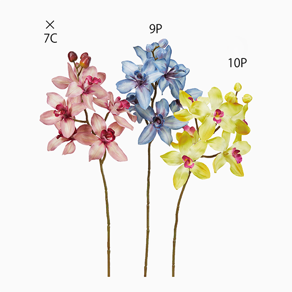 シンビジューム