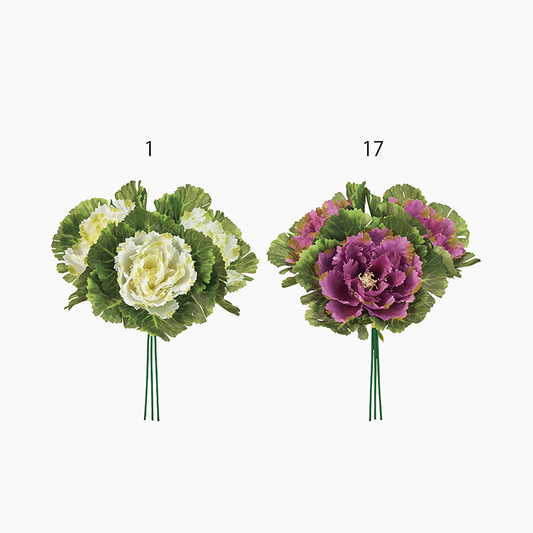 ＜10月中旬入荷予定＞葉牡丹バンドル（1束3本）
