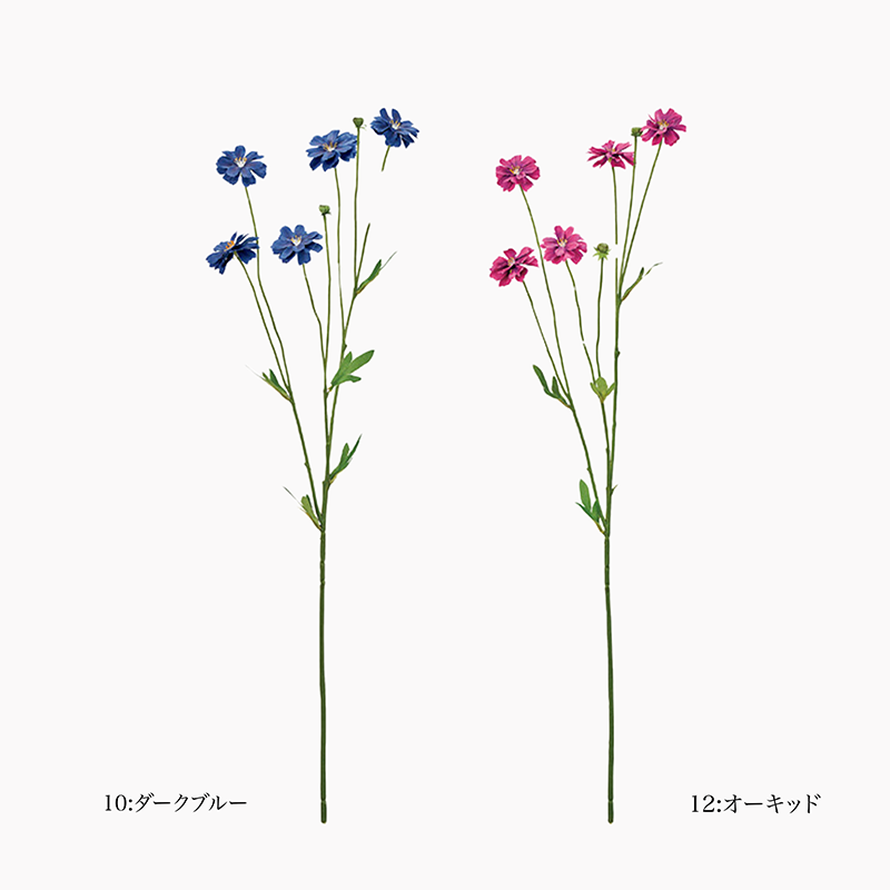 フィールズデージー