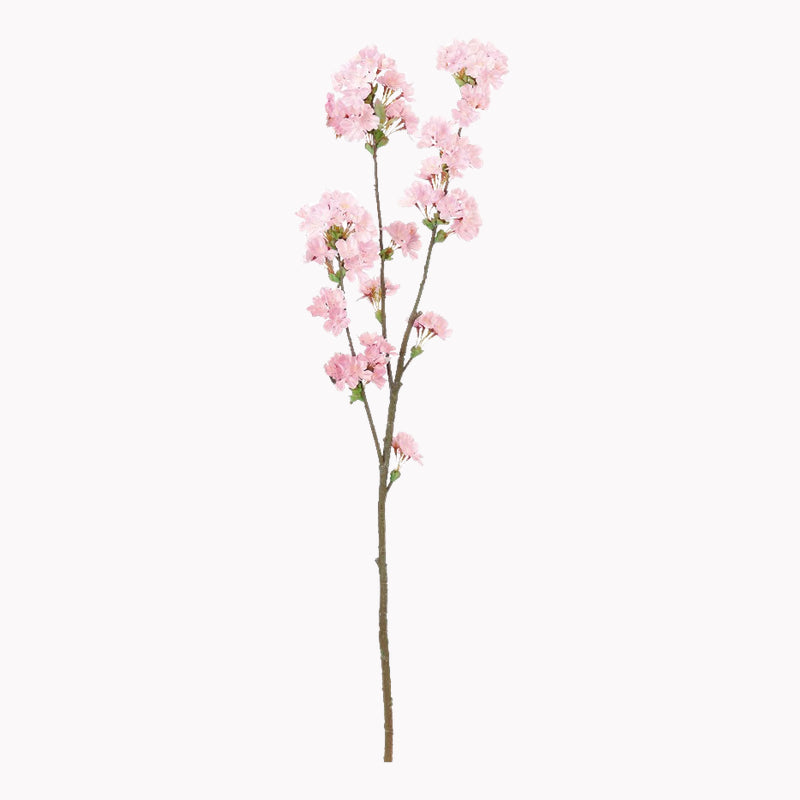 桜｜98cm