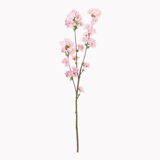 桜｜98cm