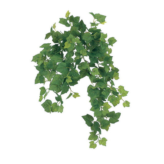 エマグレープアイビーバイン