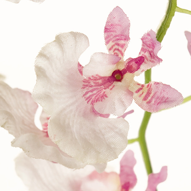 フラワリーオンシジウム｜ホワイトライラック