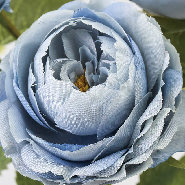 メリンダローズ｜ライトブルー