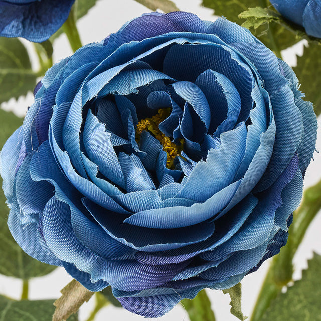 メリンダローズ｜ダークブルー